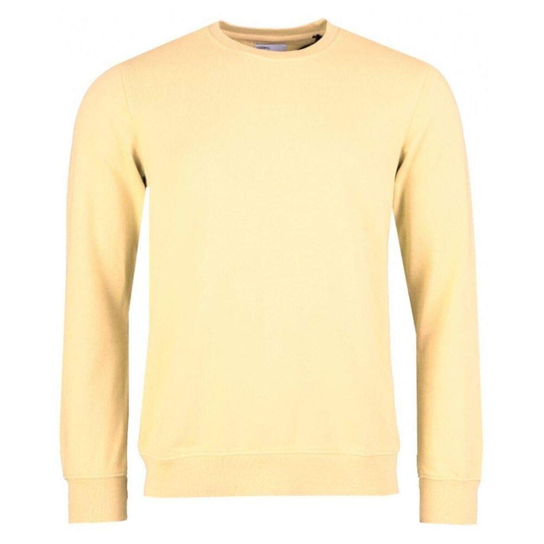 Sweatshirt mit Rundhalsausschnitt Colorful Standard Classic Organic soft yellow