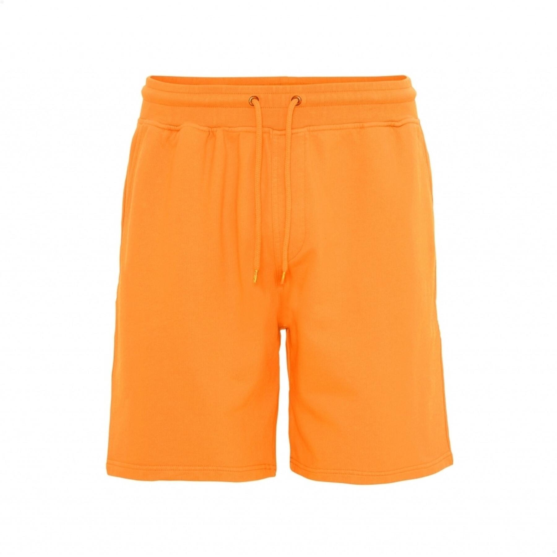 Shorts Colorful Standard Classic Organic sunny orange