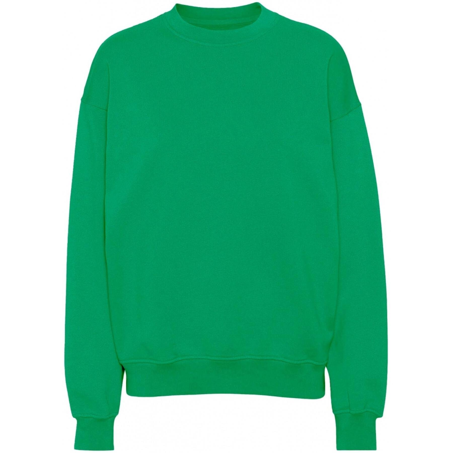 Sweatshirt mit Rundhalsausschnitt Colorful Standard Organic oversized kelly green