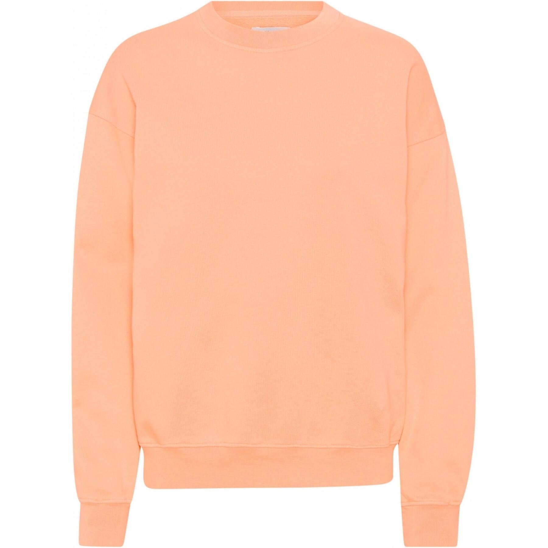 Sweatshirt mit Rundhalsausschnitt Colorful Standard Organic oversized paradise peach