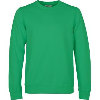 Sweatshirt mit Rundhalsausschnitt Colorful Standard Classic Organic kelly green