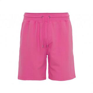 Shorts Colorful Standard Classic Organic bubblegum pink