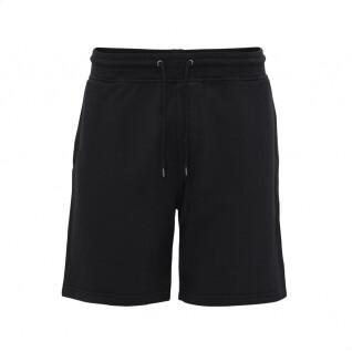 Shorts Colorful Standard Classic Organic deep black