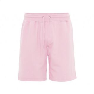 Shorts Colorful Standard Classic Organic flamingo pink