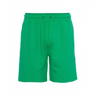 Shorts Colorful Standard Classic Organic kelly green