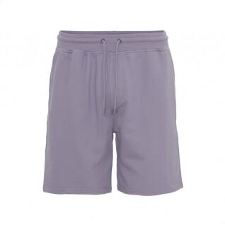 Shorts Colorful Standard Classic Organic purple haze