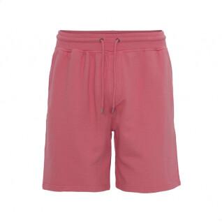 Shorts Colorful Standard Classic Organic raspberry pink