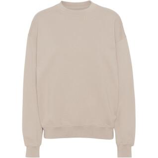 Sweatshirt mit Rundhalsausschnitt Colorful Standard Organic oversized ivory white