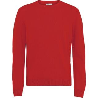 Pullover mit Rundhalsausschnitt aus Wolle Colorful Standard Classic Merino scarlet red
