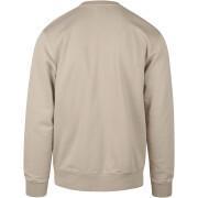 Sweatshirt mit Rundhalsausschnitt Colorful Standard Classic Organic oyster grey