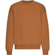 Sweatshirt mit Rundhalsausschnitt in Oversize-Optik Colorful Standard Organic Ginger Brown
