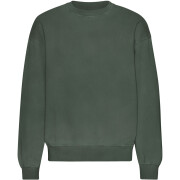Sweatshirt mit Rundhalsausschnitt in Oversize-Optik Colorful Standard Organic Midnight Forest