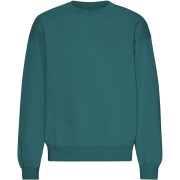 Sweatshirt mit Rundhalsausschnitt in Oversize-Optik Colorful Standard Organic Ocean Green