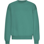 Sweatshirt mit Rundhalsausschnitt in Oversize-Optik Colorful Standard Organic Pine Green