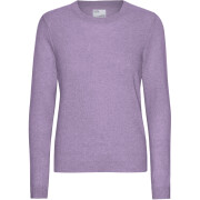 Pullover Frau Colorful Standard Purple Haze