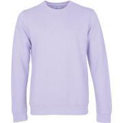 Sweatshirt mit Rundhalsausschnitt Colorful Standard Classic Organic soft lavender