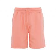 Shorts Colorful Standard Classic Organic bright coral