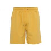 Shorts Colorful Standard Classic Organic burned yellow
