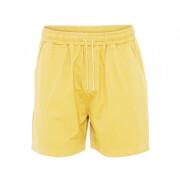 Twill-Shorts Colorful Standard Organic lemon yellow