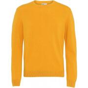 Pullover mit Rundhalsausschnitt aus Wolle Colorful Standard Classic Merino burned yellow