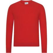 Pullover mit Rundhalsausschnitt aus Wolle Colorful Standard Light Merino scarlet red